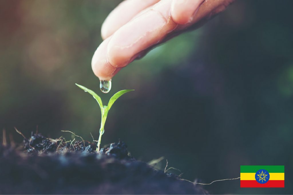 مؤتمر الزراعة والمياه بأثيوبيا