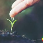 مؤتمر الزراعة والمياه بأثيوبيا