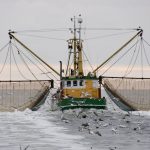 شركات الصيد البحري .. مدعوون للاجتماع